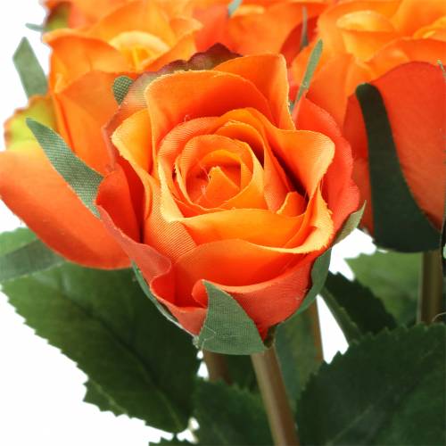 Floristik24 Rose Orange 42cm 12ks