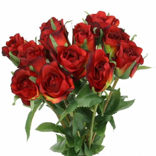 Floristik24 Růže červená 42cm 12ks