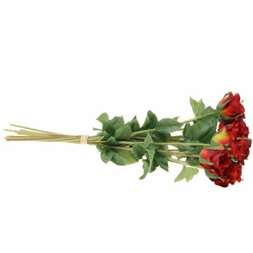 Floristik24 Růže červená 42cm 12ks