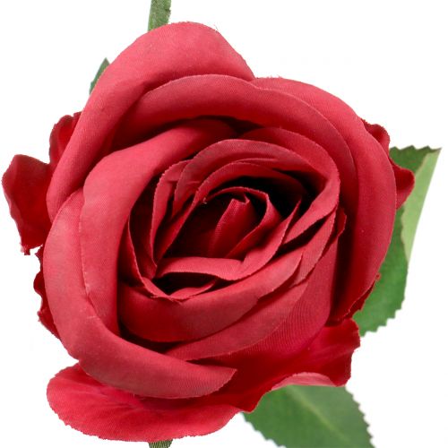 Floristik24 Růže červená 44cm 6ks