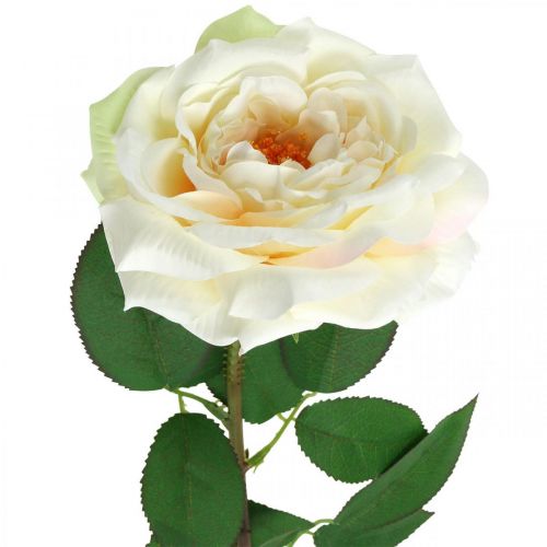 položky Krémově bílá meruňková růže, hedvábný květ, umělé růže L72cm Ø12cm