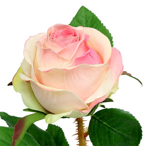 Floristik24 Umělá růže krémově růžová Ø9cm L45cm 1 kus
