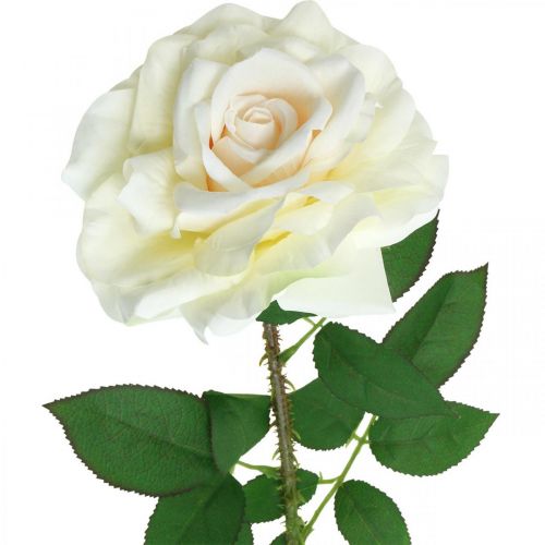 Hedvábný květ, růže na stonku, umělá rostlina krémově bílá, růžová L72cm Ø13cm