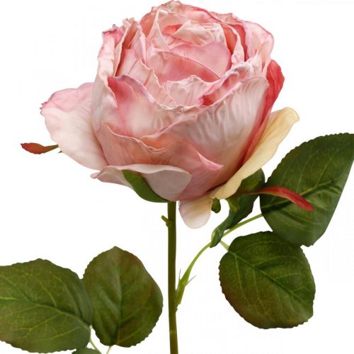 položky Deco růže růžová, květinová dekorace, umělá růže L74cm Ø7cm