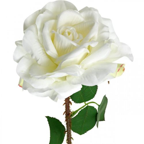 položky Bílá růže Falešná růže na stonku Hedvábný květ Falešná růže L72cm Ø13cm