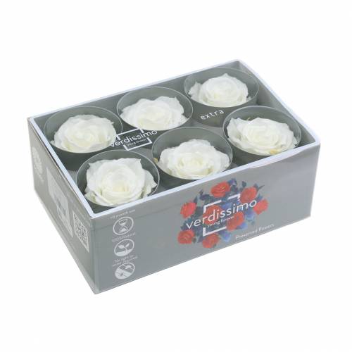 položky Infinity Roses velké Ø5,5-6cm Bílá 6 ks