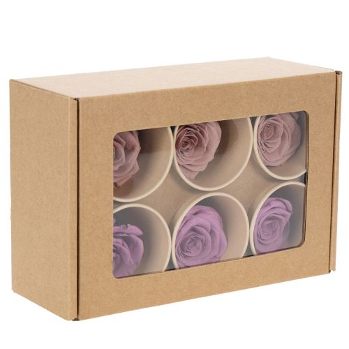 položky Konzervované růžové hlávky, romantický dárek, růže s dlouhou životností pro zvláštní příležitosti, 5 cm, 6 kusů