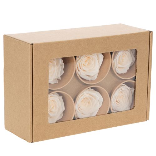 položky Růžové hlávky, konzervované květy pro elegantní květinové aranžmá, 5 cm, 6 kusů