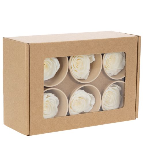 položky Konzervované růžové hlávky, odolná dekorace na stůl pro romantickou atmosféru, svatební dekorace, 5 cm, 6 kusů