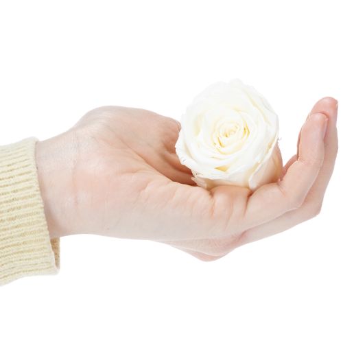 položky Konzervované růžové hlávky, odolná dekorace na stůl pro romantickou atmosféru, svatební dekorace, 5 cm, 6 kusů