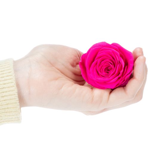 položky Dekorace z konzervovaných růží, pravé květiny na dekoraci stolu, unikátní a udržitelné květy, 5 cm, 6 kusů