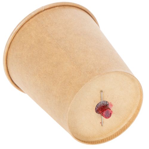 položky Konzervované růže, dekorativní romantický doplněk do obývacích prostor nebo na svatbu 5 cm, 6 ks