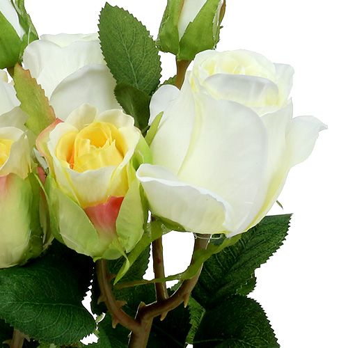 Floristik24 Krémová kytice růží 40cm