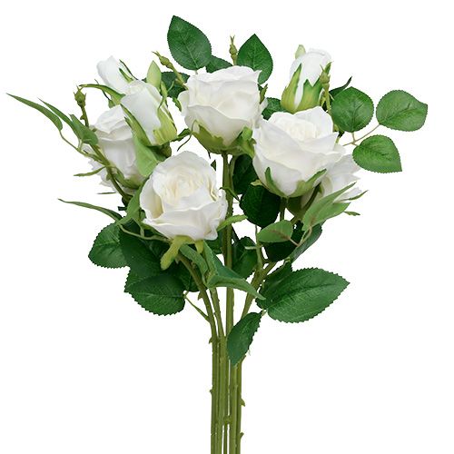 Floristik24 Kytice růží bílá L46cm