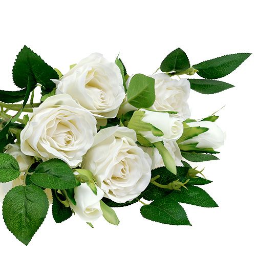 položky Kytice růží bílá L46cm
