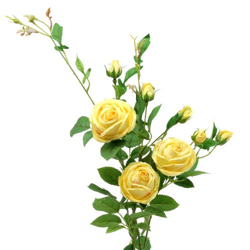 Floristik24 Větev růže žlutá 100cm