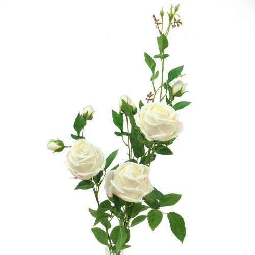položky Krém z růží / růže 100 cm