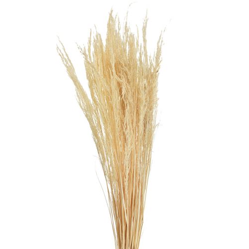 Ohýbaná tráva Agrostis Capillaris Suchá tráva bělená 65 cm 80 g