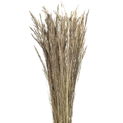 položky Bent Grass Agrostis Capillaris Dry Grass Nature 60cm 80g