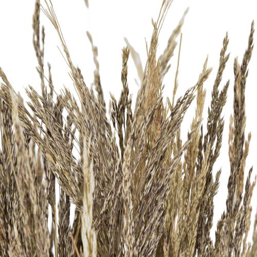 položky Bent Grass Agrostis Capillaris Dry Grass Nature 60cm 80g