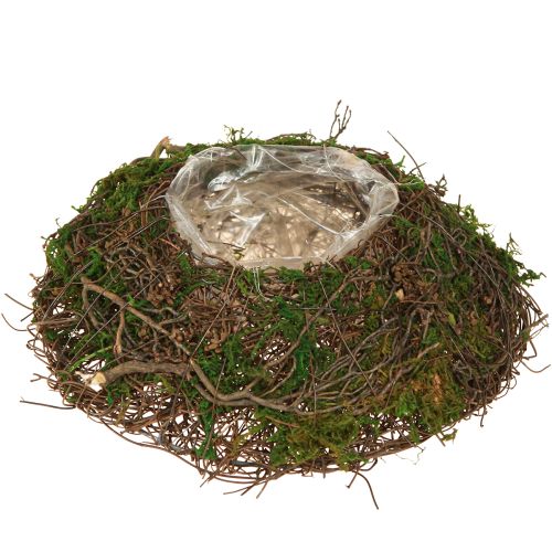 Kulatý květináč z mechových popínavých rostlin s fólií Ø20cm V7cm