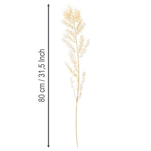 Sušená dekorativní větvička Ruscus, bělená Ruscus, 200g | Floristik24.cz