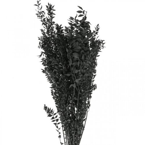 Ruscus Twigs Deco Twigs Sušené květiny černé 200g