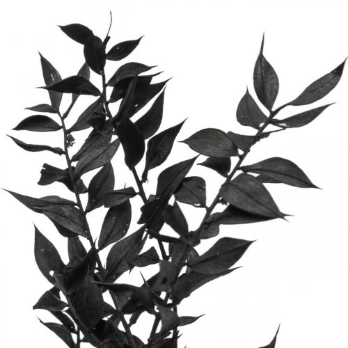 položky Ruscus větve dekorativní větve sušené květiny černé 200g