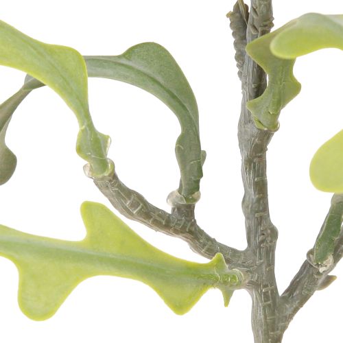 položky Umělá pila Leaf Cactus Epiphyllum anguliger L68cm 3 ks