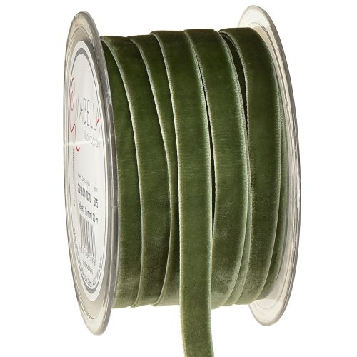 Floristik24 Sametová stuha, dárková stuha, dekorativní stuha zelená, Š10 mm, 20 m