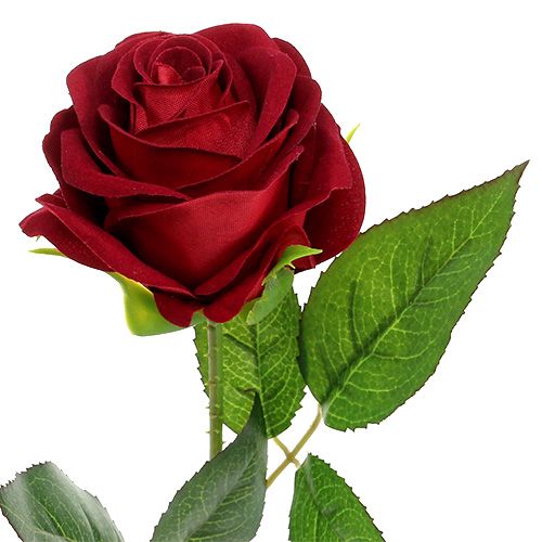 položky Sametově růže červená 65cm 6ks