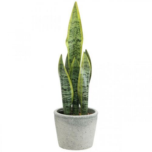 Floristik24 Umělý luk konopí, zelená rostlina v květináči, Sansevieria H39cm Ø12cm