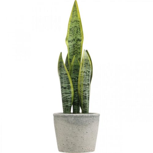 Floristik24 Umělý luk konopí, zelená rostlina v květináči, Sansevieria H39cm Ø12cm