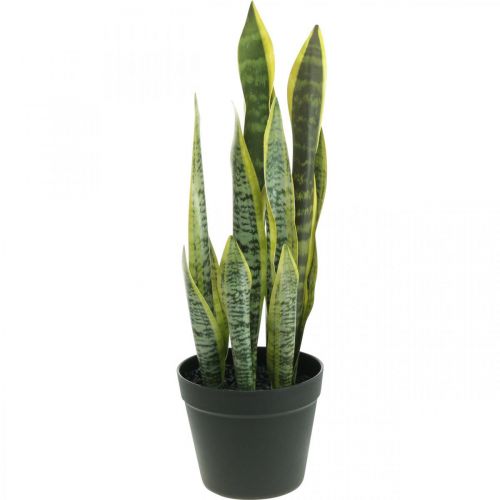 Floristik24 Sansevieria, umělá květina, mašle konopí v květináči V50cm Ø14cm