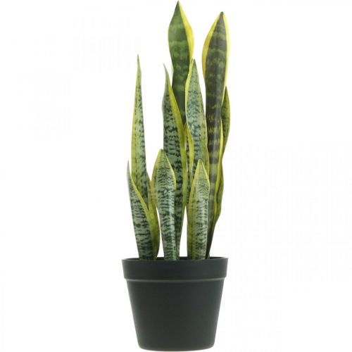 Floristik24 Sansevieria, umělá květina, mašle konopí v květináči V50cm Ø14cm