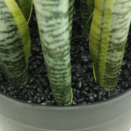 Floristik24 Sansevieria, umělá květina, mašle konopí v květináči V50cm Ø14cm