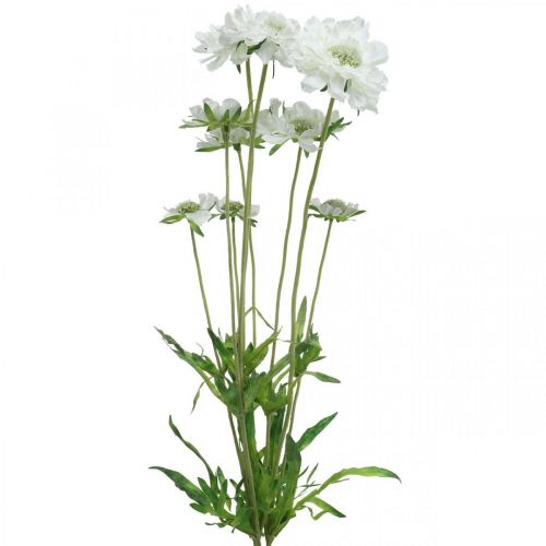 položky Umělá květina svrabová bílá zahradní květina H64cm svazek se 3ks