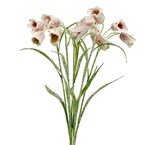 Floristik24 Šachová květina bílo-růžová zasněžená L45cm 6ks