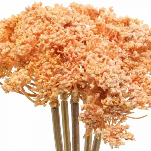 Řebříček umělé umělé květiny oranžová 50cm 5ks v svazku