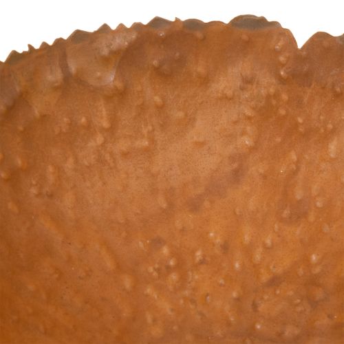 Kulatá kovová miska s povrchem s rezavou texturou, 20 cm | Floristik24.cz