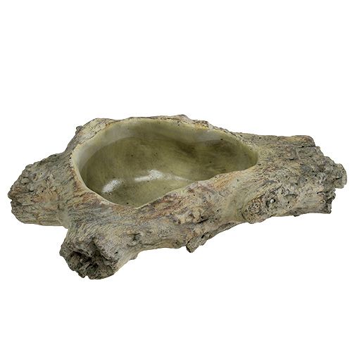 Floristik24 Miska na výsadbu 30cm x 13cm V8,5cm