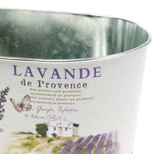 Floristik24 Miska na rostliny levandule oválná 22,5 cm x 13,5 cm H11 cm