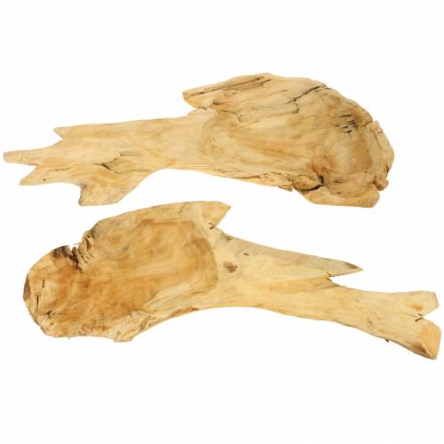 Floristik24 Miska z kořenového dřeva 50cm x 17cm V8cm