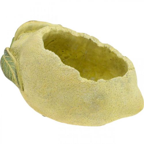 Miska na výsadbu, citron na výsadbu, dekorace středomořská betonová L22cm