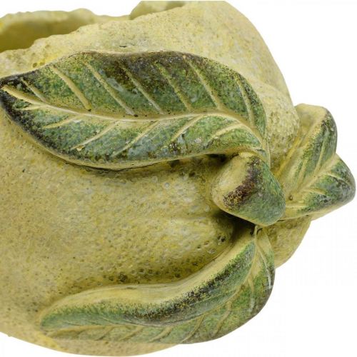 Floristik24 Středomořská betonová mísa, dekorativní citron, květináč, květináč L18,5cm