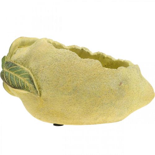 Floristik24 Středomořská betonová mísa, dekorativní citron, květináč, květináč L18,5cm