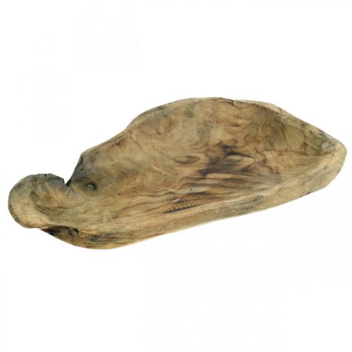Floristik24 Dekorativní miska Paulownia dřevo, stolní dekorace, květináč L34cm V5cm