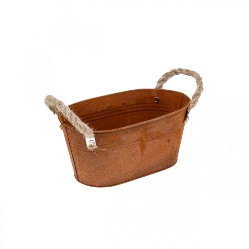 Floristik24 Kovová miska s uchy, podzimní dekorace, květináč s patinou L22cm H11cm