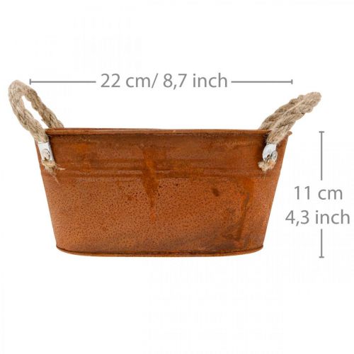 Floristik24 Kovová miska s uchy, podzimní dekorace, květináč s patinou L22cm H11cm