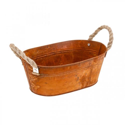 Floristik24 Květináč s uchy, miska na bylinky, podzimní dekorace, patina L28cm V11cm